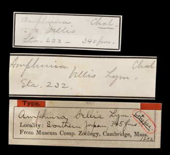 Media type: image;   Invertebrate Zoology OPH-1292 Aspect: labels